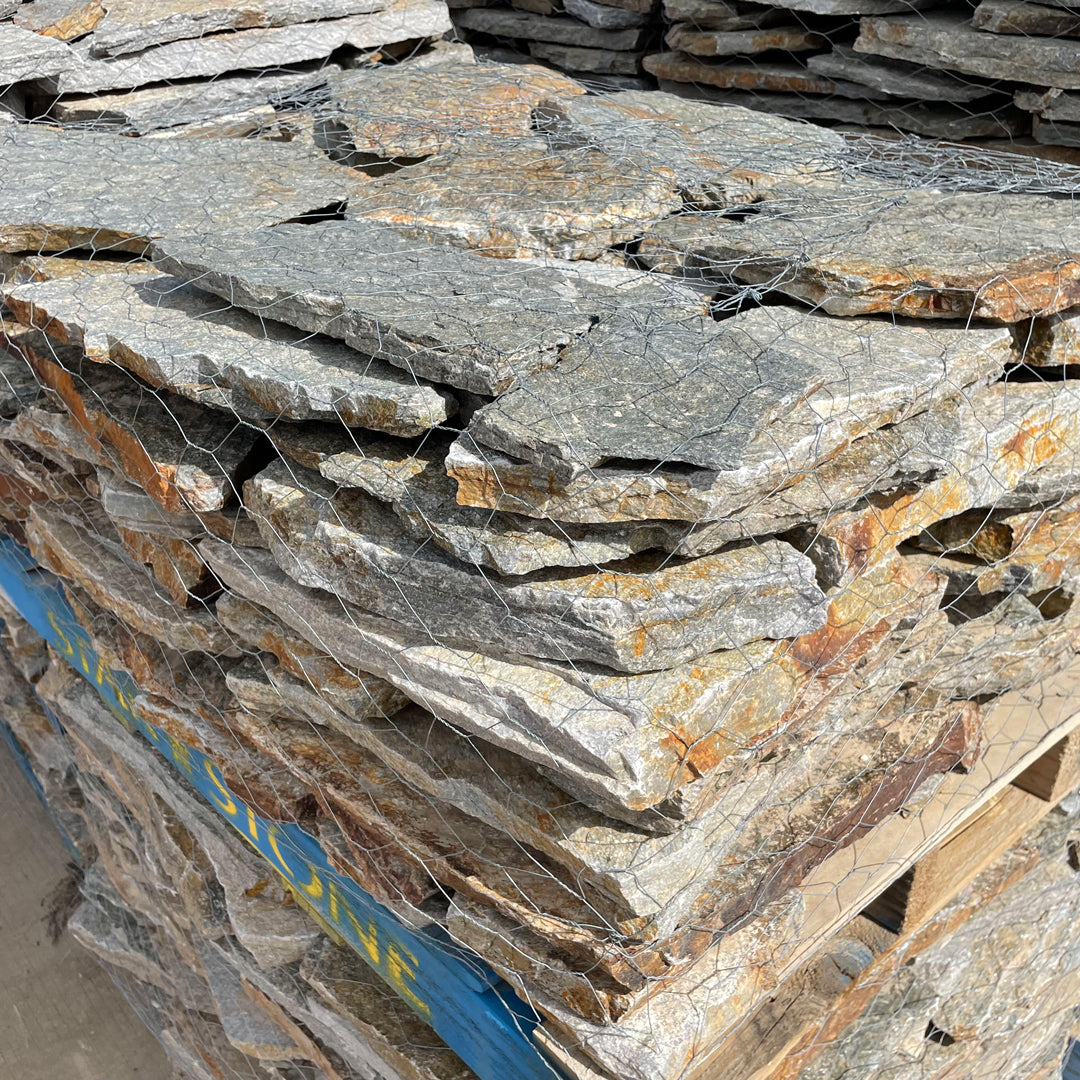 Buckskin – Moulton