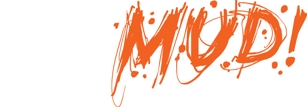 More Pavers Less Mud!