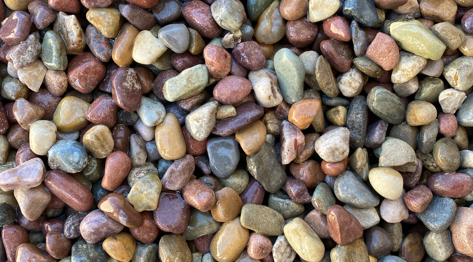 Decorative Ground Cover