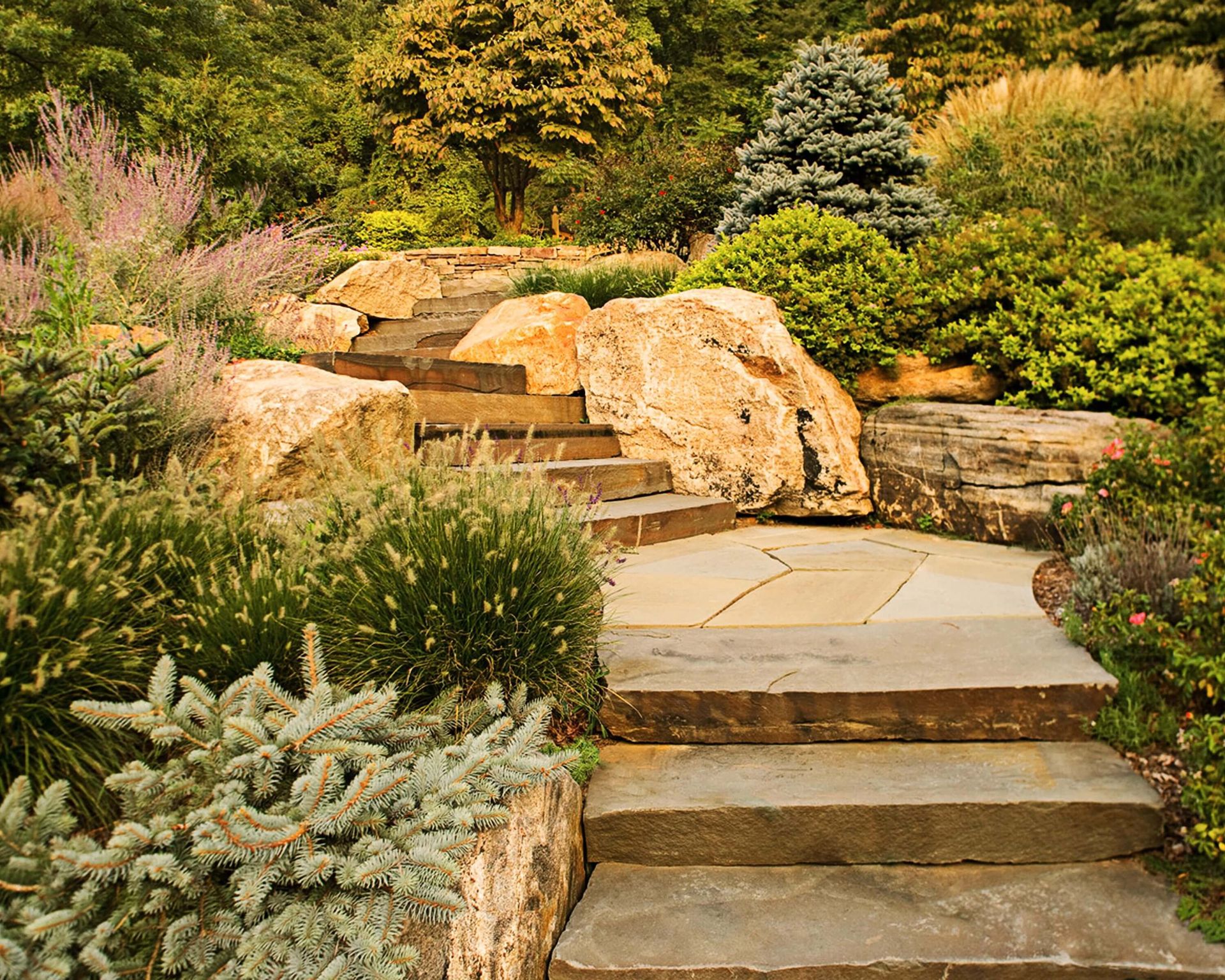 Backyard Landscape for Outdoor Living Areas with Rock and Stone