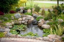 DIY Backyard Pond Kit 8' x 11'