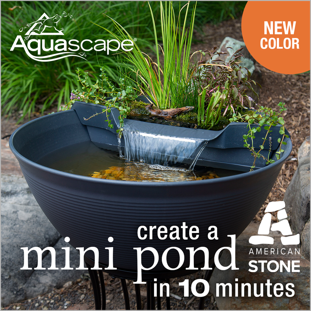 Aquagarden Mini Pond Kit - Mocha