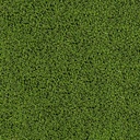 Emerald Green Turf Details