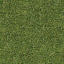 Viridian Green Turf Roll 45 mm 91 oz